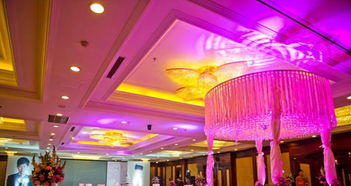 唯诺婚礼 一站式专业婚庆服务，打造您梦想中的完美庆典